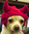 webicon